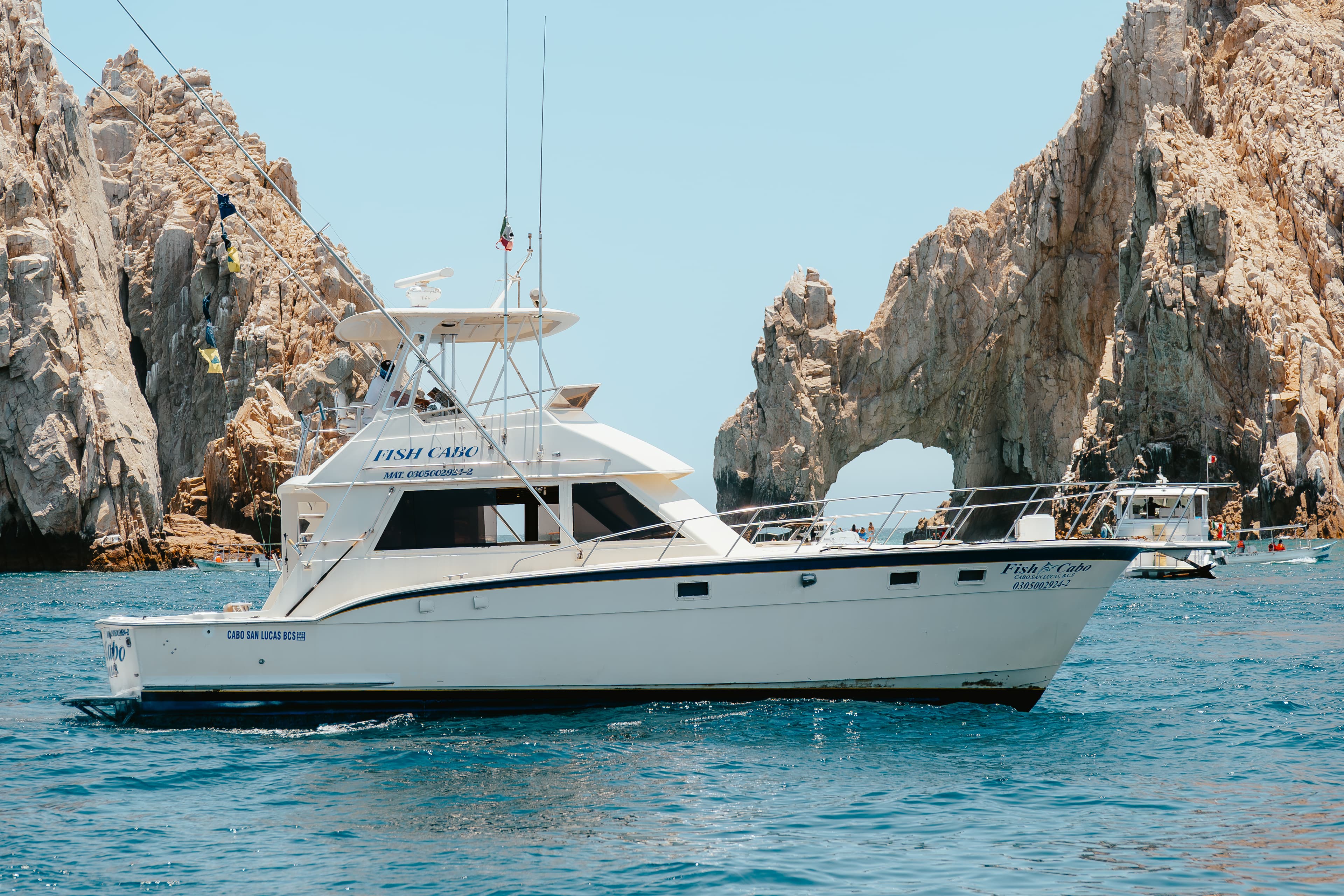 Fish Cabo