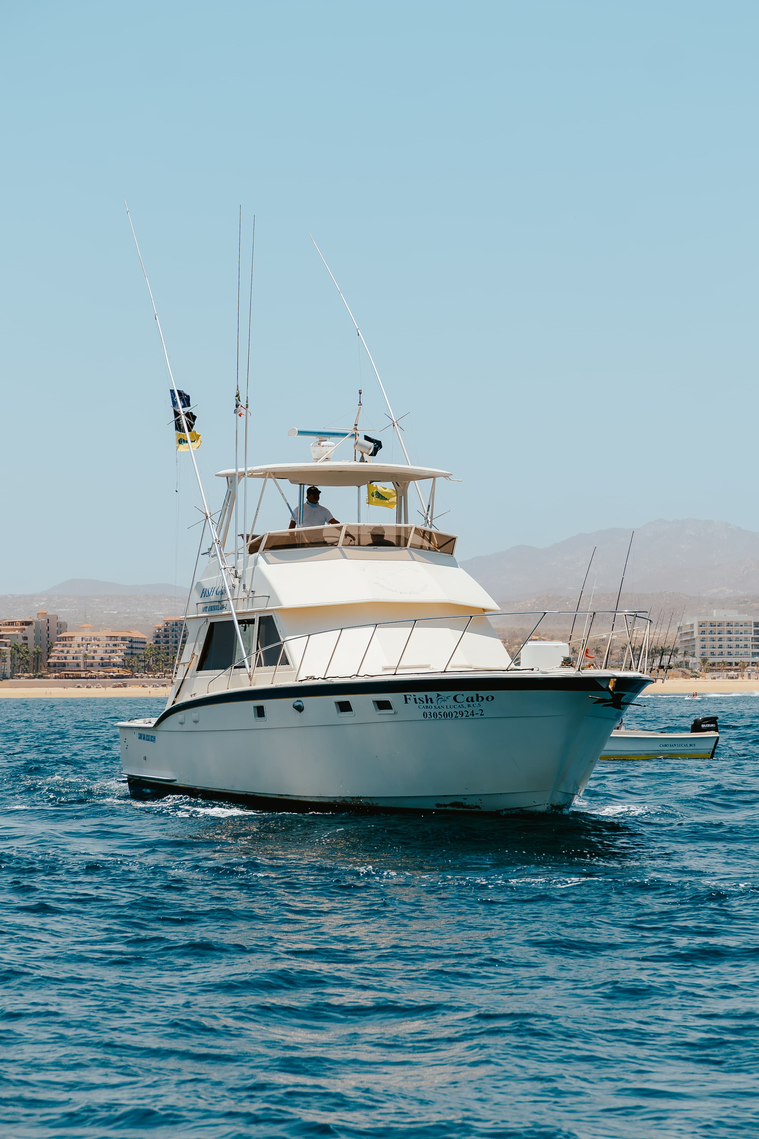 Fish Cabo